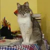 Отзыв от Катюша Дроздова